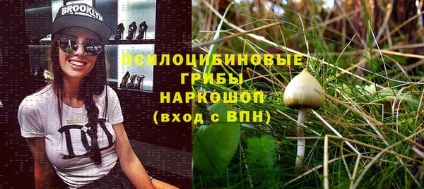 мяу мяу мука Абдулино