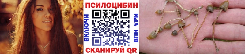 Галлюциногенные грибы MAGIC MUSHROOMS сайты даркнета телеграм Стерлитамак