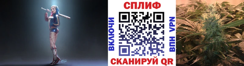 где купить наркотик Стерлитамак Конопля THC 21%